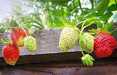 恐怖冒险游戏《圣科塔尔》上架Steam 10月28日解锁发售